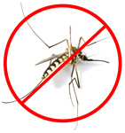 Repel Insects Squitoe™ Salve
