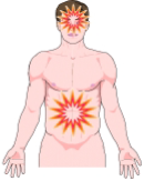 Visual Locations in the Body at the Causes and Effects of Epilepsy