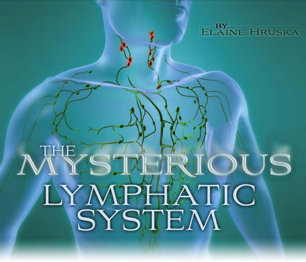 The Mysterious Lymphatic System Banner
